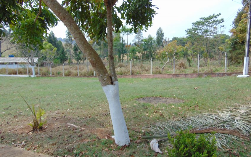 Sítio a Venda em Bragança Paulista!!! Área Total de 80.000M2, com excelente Casa Sede e Demais Dependências!!! e também poderá ser Vendida em 03 Escrituras!!!! toda Documentada Escriturada, ótima Região para Criação de Gado Nelore ou Haras !!! contendo Varias Nascentes, Riacho e Logo de Peixes!!! (Porteira Fechada) R$ 2.000.000,00 Aceita Proposta!!! ou Divide  Imóvel em Três Escrituras!!!Ref: 11