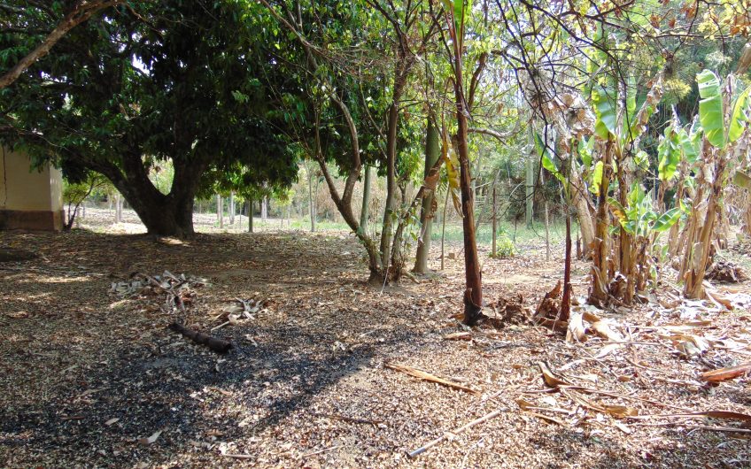 Sítio a Venda em Bragança Paulista!!! Área Total de 80.000M2, com excelente Casa Sede e Demais Dependências!!! e também poderá ser Vendida em 03 Escrituras!!!! toda Documentada Escriturada, ótima Região para Criação de Gado Nelore ou Haras !!! contendo Varias Nascentes, Riacho e Logo de Peixes!!! (Porteira Fechada) R$ 2.000.000,00 Aceita Proposta!!! ou Divide  Imóvel em Três Escrituras!!!Ref: 11
