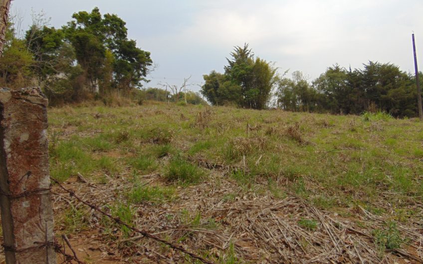 Sítio a Venda em Bragança Paulista!!! Área Total de 80.000M2, com excelente Casa Sede e Demais Dependências!!! e também poderá ser Vendida em 03 Escrituras!!!! toda Documentada Escriturada, ótima Região para Criação de Gado Nelore ou Haras !!! contendo Varias Nascentes, Riacho e Logo de Peixes!!! (Porteira Fechada) R$ 2.000.000,00 Aceita Proposta!!! ou Divide  Imóvel em Três Escrituras!!!Ref: 11