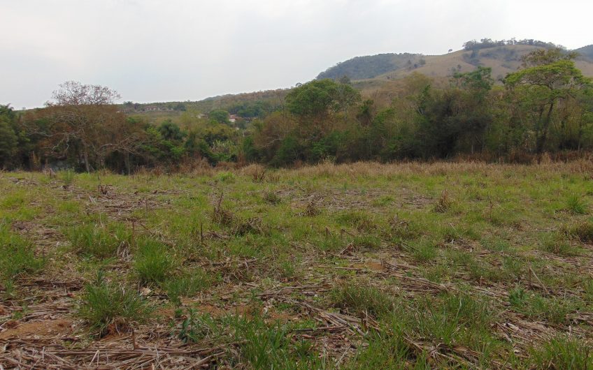 Sítio a Venda em Bragança Paulista!!! Área Total de 80.000M2, com excelente Casa Sede e Demais Dependências!!! e também poderá ser Vendida em 03 Escrituras!!!! toda Documentada Escriturada, ótima Região para Criação de Gado Nelore ou Haras !!! contendo Varias Nascentes, Riacho e Logo de Peixes!!! (Porteira Fechada) R$ 2.000.000,00 Aceita Proposta!!! ou Divide  Imóvel em Três Escrituras!!!Ref: 11