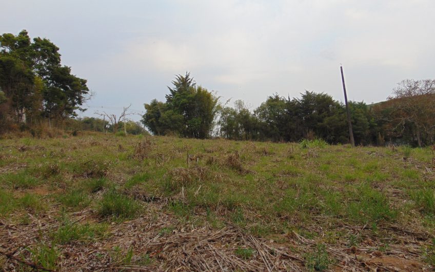 Sítio a Venda em Bragança Paulista!!! Área Total de 80.000M2, com excelente Casa Sede e Demais Dependências!!! e também poderá ser Vendida em 03 Escrituras!!!! toda Documentada Escriturada, ótima Região para Criação de Gado Nelore ou Haras !!! contendo Varias Nascentes, Riacho e Logo de Peixes!!! (Porteira Fechada) R$ 2.000.000,00 Aceita Proposta!!! ou Divide  Imóvel em Três Escrituras!!!Ref: 11