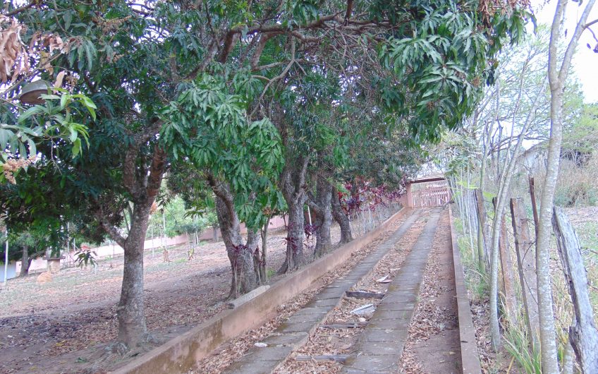 Sítio a Venda em Bragança Paulista!!! Área Total de 80.000M2, com excelente Casa Sede e Demais Dependências!!! e também poderá ser Vendida em 03 Escrituras!!!! toda Documentada Escriturada, ótima Região para Criação de Gado Nelore ou Haras !!! contendo Varias Nascentes, Riacho e Logo de Peixes!!! (Porteira Fechada) R$ 2.000.000,00 Aceita Proposta!!! ou Divide  Imóvel em Três Escrituras!!!Ref: 11