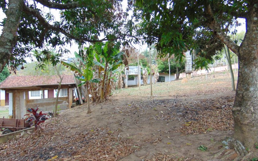 Sítio a Venda em Bragança Paulista!!! Área Total de 80.000M2, com excelente Casa Sede e Demais Dependências!!! e também poderá ser Vendida em 03 Escrituras!!!! toda Documentada Escriturada, ótima Região para Criação de Gado Nelore ou Haras !!! contendo Varias Nascentes, Riacho e Logo de Peixes!!! (Porteira Fechada) R$ 2.000.000,00 Aceita Proposta!!! ou Divide  Imóvel em Três Escrituras!!!Ref: 11