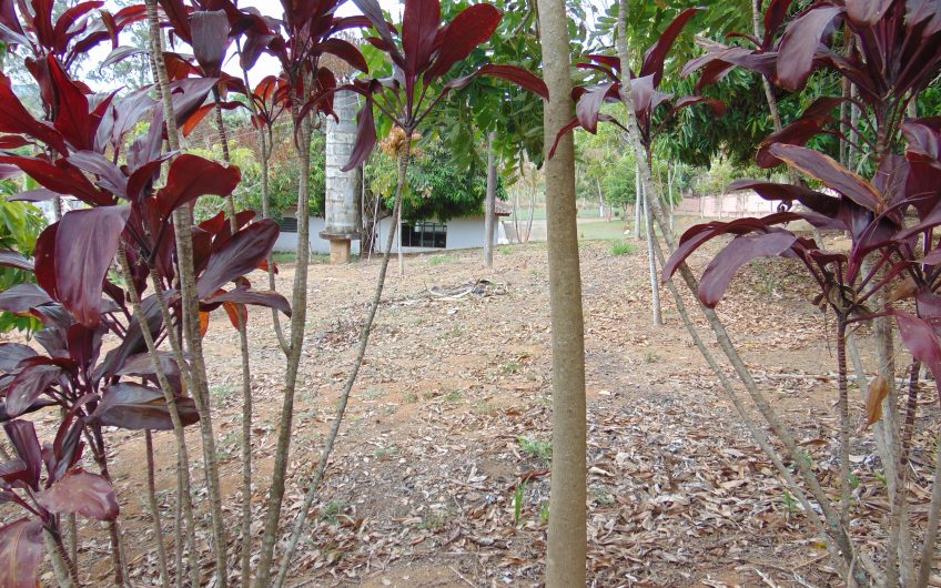 Sítio a Venda em Bragança Paulista!!! Área Total de 80.000M2, com excelente Casa Sede e Demais Dependências!!! e também poderá ser Vendida em 03 Escrituras!!!! toda Documentada Escriturada, ótima Região para Criação de Gado Nelore ou Haras !!! contendo Varias Nascentes, Riacho e Logo de Peixes!!! (Porteira Fechada) R$ 2.000.000,00 Aceita Proposta!!! ou Divide  Imóvel em Três Escrituras!!!Ref: 11