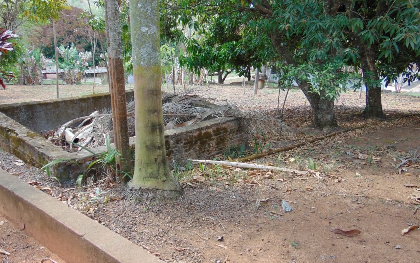 Sítio a Venda em Bragança Paulista!!! Área Total de 80.000M2, com excelente Casa Sede e Demais Dependências!!! e também poderá ser Vendida em 03 Escrituras!!!! toda Documentada Escriturada, ótima Região para Criação de Gado Nelore ou Haras !!! contendo Varias Nascentes, Riacho e Logo de Peixes!!! (Porteira Fechada) R$ 2.000.000,00 Aceita Proposta!!! ou Divide  Imóvel em Três Escrituras!!!Ref: 11