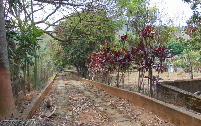 Sítio a Venda em Bragança Paulista!!! Área Total de 80.000M2, com excelente Casa Sede e Demais Dependências!!! e também poderá ser Vendida em 03 Escrituras!!!! toda Documentada Escriturada, ótima Região para Criação de Gado Nelore ou Haras !!! contendo Varias Nascentes, Riacho e Logo de Peixes!!! (Porteira Fechada) R$ 2.000.000,00 Aceita Proposta!!! ou Divide  Imóvel em Três Escrituras!!!Ref: 11