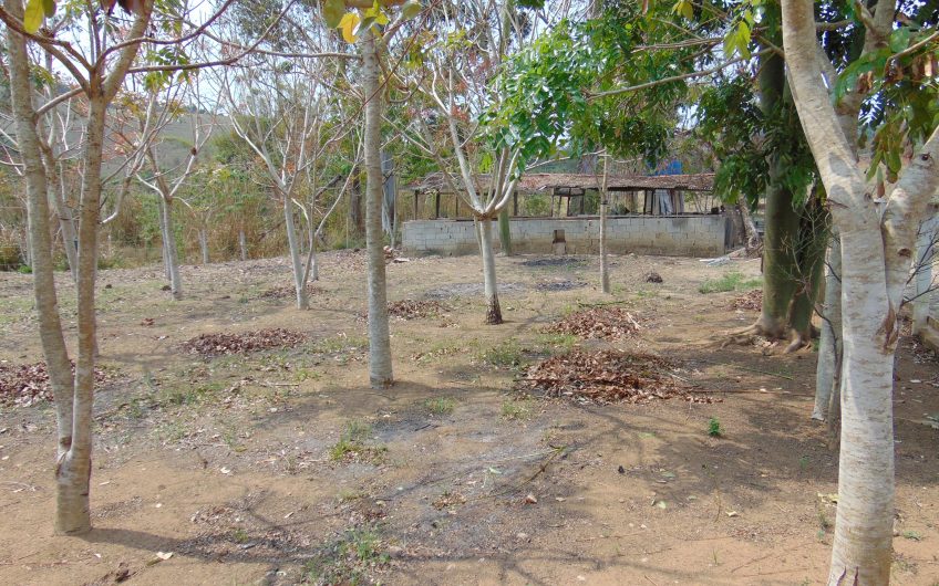 Sítio a Venda em Bragança Paulista!!! Área Total de 80.000M2, com excelente Casa Sede e Demais Dependências!!! e também poderá ser Vendida em 03 Escrituras!!!! toda Documentada Escriturada, ótima Região para Criação de Gado Nelore ou Haras !!! contendo Varias Nascentes, Riacho e Logo de Peixes!!! (Porteira Fechada) R$ 2.000.000,00 Aceita Proposta!!! ou Divide  Imóvel em Três Escrituras!!!Ref: 11