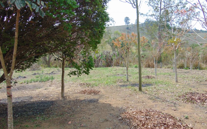Sítio a Venda em Bragança Paulista!!! Área Total de 80.000M2, com excelente Casa Sede e Demais Dependências!!! e também poderá ser Vendida em 03 Escrituras!!!! toda Documentada Escriturada, ótima Região para Criação de Gado Nelore ou Haras !!! contendo Varias Nascentes, Riacho e Logo de Peixes!!! (Porteira Fechada) R$ 2.000.000,00 Aceita Proposta!!! ou Divide  Imóvel em Três Escrituras!!!Ref: 11