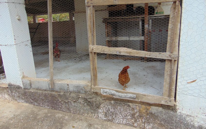 Sítio a Venda em Bragança Paulista!!! Área Total de 80.000M2, com excelente Casa Sede e Demais Dependências!!! e também poderá ser Vendida em 03 Escrituras!!!! toda Documentada Escriturada, ótima Região para Criação de Gado Nelore ou Haras !!! contendo Varias Nascentes, Riacho e Logo de Peixes!!! (Porteira Fechada) R$ 2.000.000,00 Aceita Proposta!!! ou Divide  Imóvel em Três Escrituras!!!Ref: 11