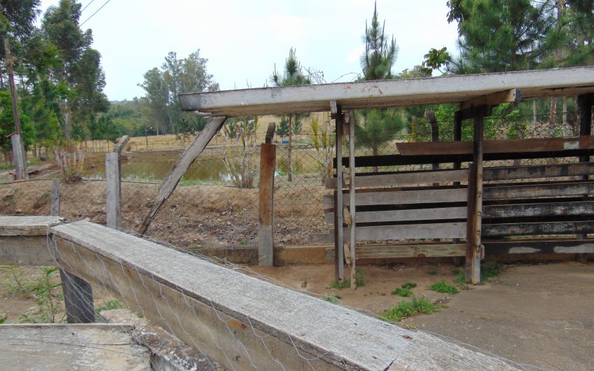 Sítio a Venda em Bragança Paulista!!! Área Total de 80.000M2, com excelente Casa Sede e Demais Dependências!!! e também poderá ser Vendida em 03 Escrituras!!!! toda Documentada Escriturada, ótima Região para Criação de Gado Nelore ou Haras !!! contendo Varias Nascentes, Riacho e Logo de Peixes!!! (Porteira Fechada) R$ 2.000.000,00 Aceita Proposta!!! ou Divide  Imóvel em Três Escrituras!!!Ref: 11