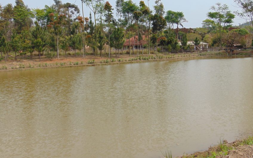 Sítio a Venda em Bragança Paulista!!! Área Total de 80.000M2, com excelente Casa Sede e Demais Dependências!!! e também poderá ser Vendida em 03 Escrituras!!!! toda Documentada Escriturada, ótima Região para Criação de Gado Nelore ou Haras !!! contendo Varias Nascentes, Riacho e Logo de Peixes!!! (Porteira Fechada) R$ 2.000.000,00 Aceita Proposta!!! ou Divide  Imóvel em Três Escrituras!!!Ref: 11