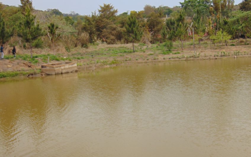 Sítio a Venda em Bragança Paulista!!! Área Total de 80.000M2, com excelente Casa Sede e Demais Dependências!!! e também poderá ser Vendida em 03 Escrituras!!!! toda Documentada Escriturada, ótima Região para Criação de Gado Nelore ou Haras !!! contendo Varias Nascentes, Riacho e Logo de Peixes!!! (Porteira Fechada) R$ 2.000.000,00 Aceita Proposta!!! ou Divide  Imóvel em Três Escrituras!!!Ref: 11