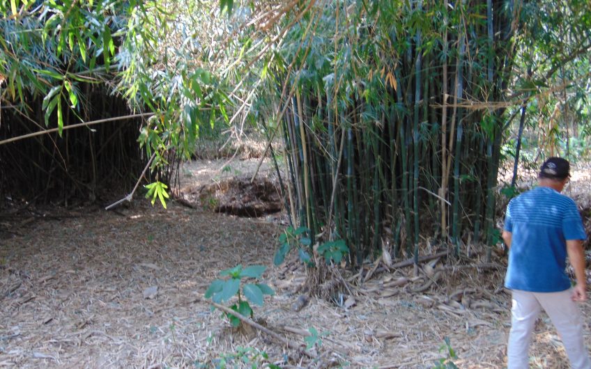 Sítio a Venda em Bragança Paulista!!! Área Total de 80.000M2, com excelente Casa Sede e Demais Dependências!!! e também poderá ser Vendida em 03 Escrituras!!!! toda Documentada Escriturada, ótima Região para Criação de Gado Nelore ou Haras !!! contendo Varias Nascentes, Riacho e Logo de Peixes!!! (Porteira Fechada) R$ 2.000.000,00 Aceita Proposta!!! ou Divide  Imóvel em Três Escrituras!!!Ref: 11