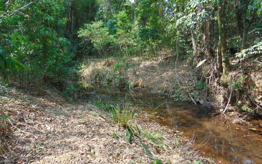 Sítio a Venda em Bragança Paulista!!! Área Total de 80.000M2, com excelente Casa Sede e Demais Dependências!!! e também poderá ser Vendida em 03 Escrituras!!!! toda Documentada Escriturada, ótima Região para Criação de Gado Nelore ou Haras !!! contendo Varias Nascentes, Riacho e Logo de Peixes!!! (Porteira Fechada) R$ 2.000.000,00 Aceita Proposta!!! ou Divide  Imóvel em Três Escrituras!!!Ref: 11